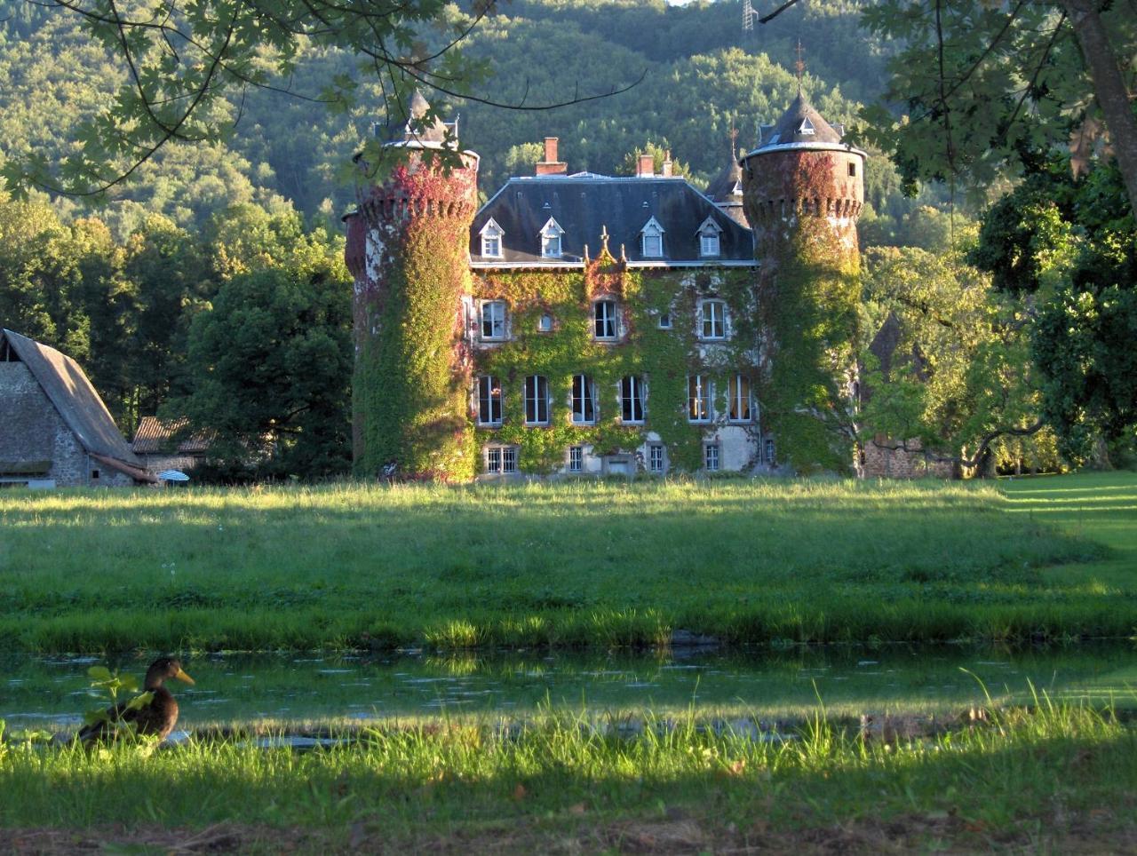 Chateau De Sedaiges Marmanhac Bagian luar foto